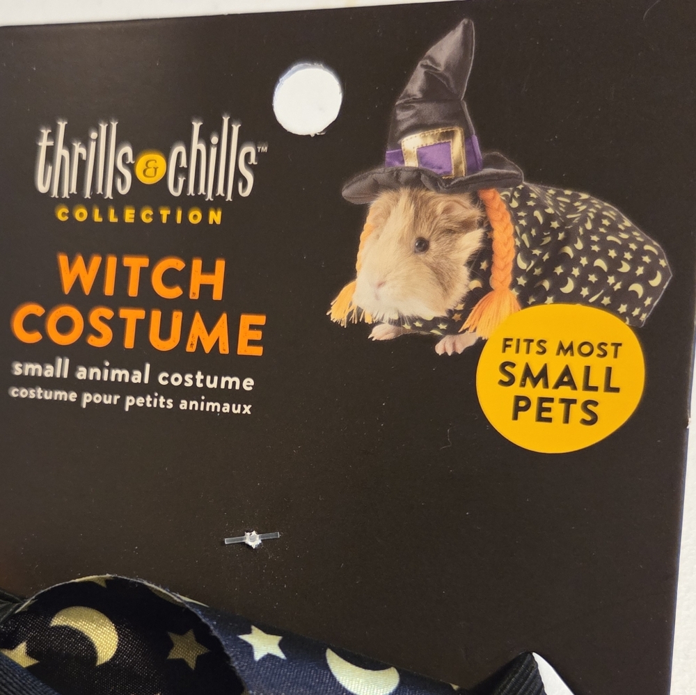 Witch Costume for Small Pets - Black and Orange